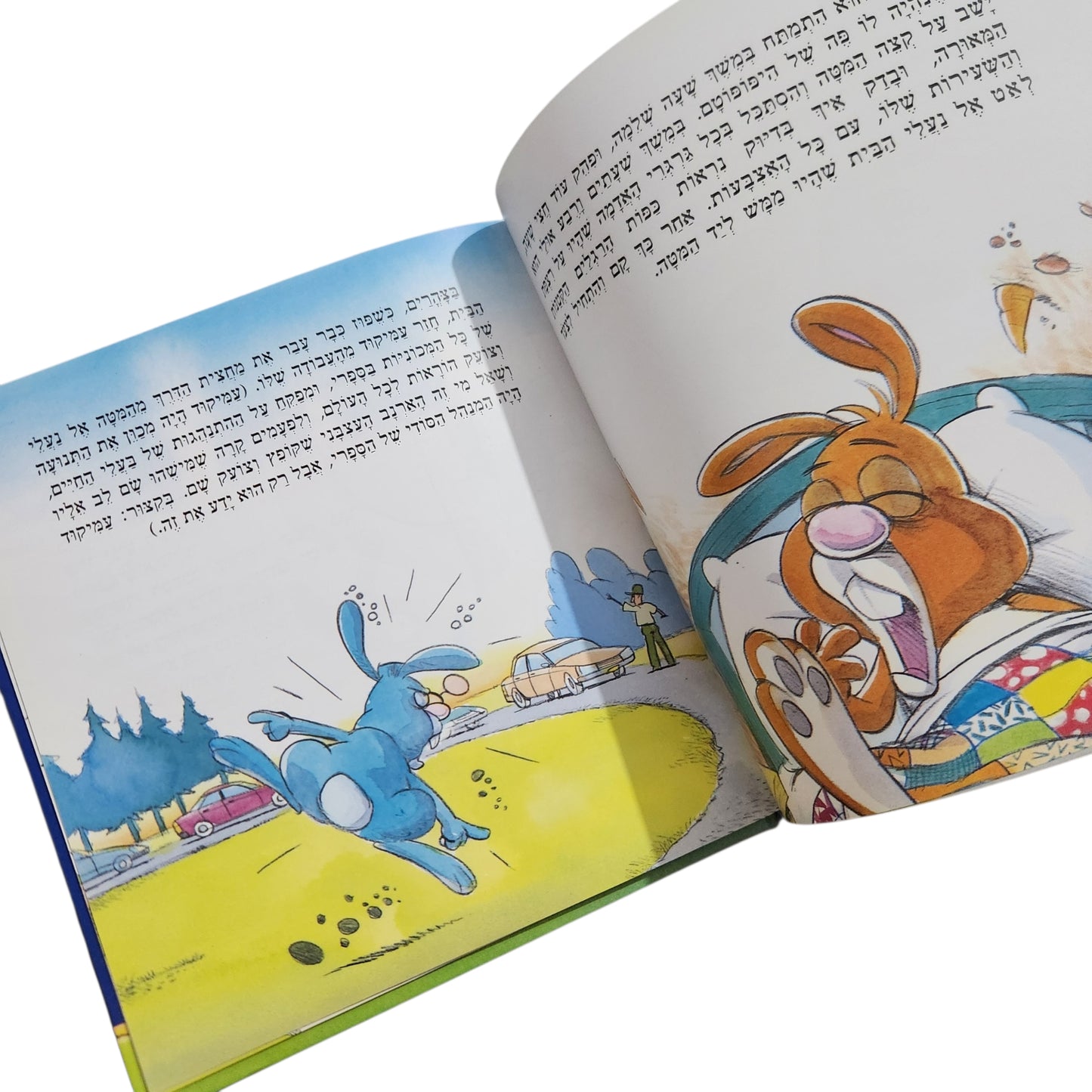 ספר השיאים של בז / דוד גרוסמן