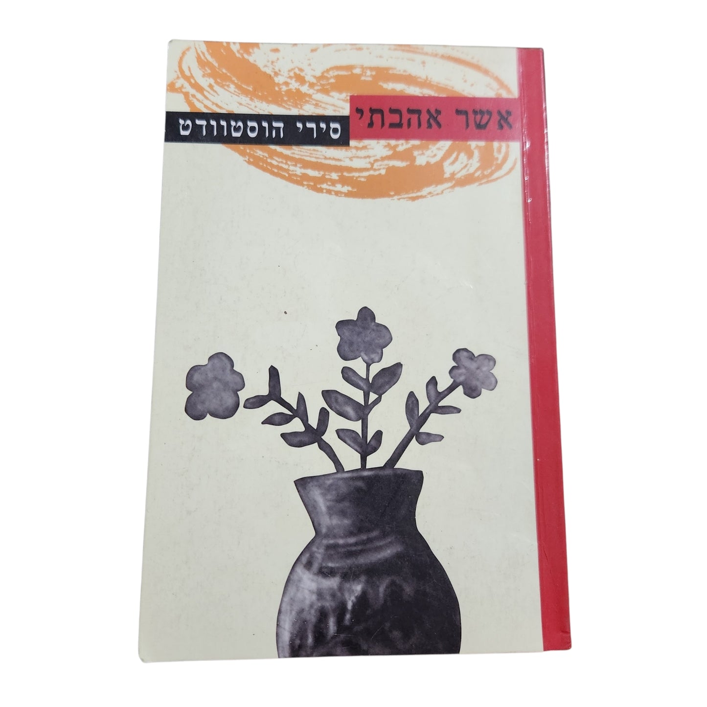 אשר אהבתי – סירי הוסטוודט (2005) | רומן ספרות מתורגמת