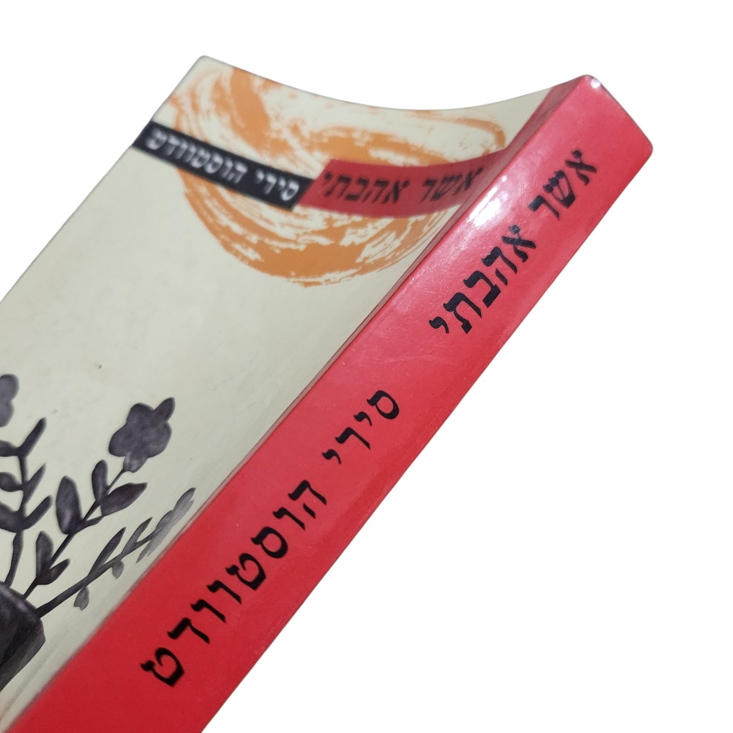 אשר אהבתי – סירי הוסטוודט (2005) | רומן ספרות מתורגמת