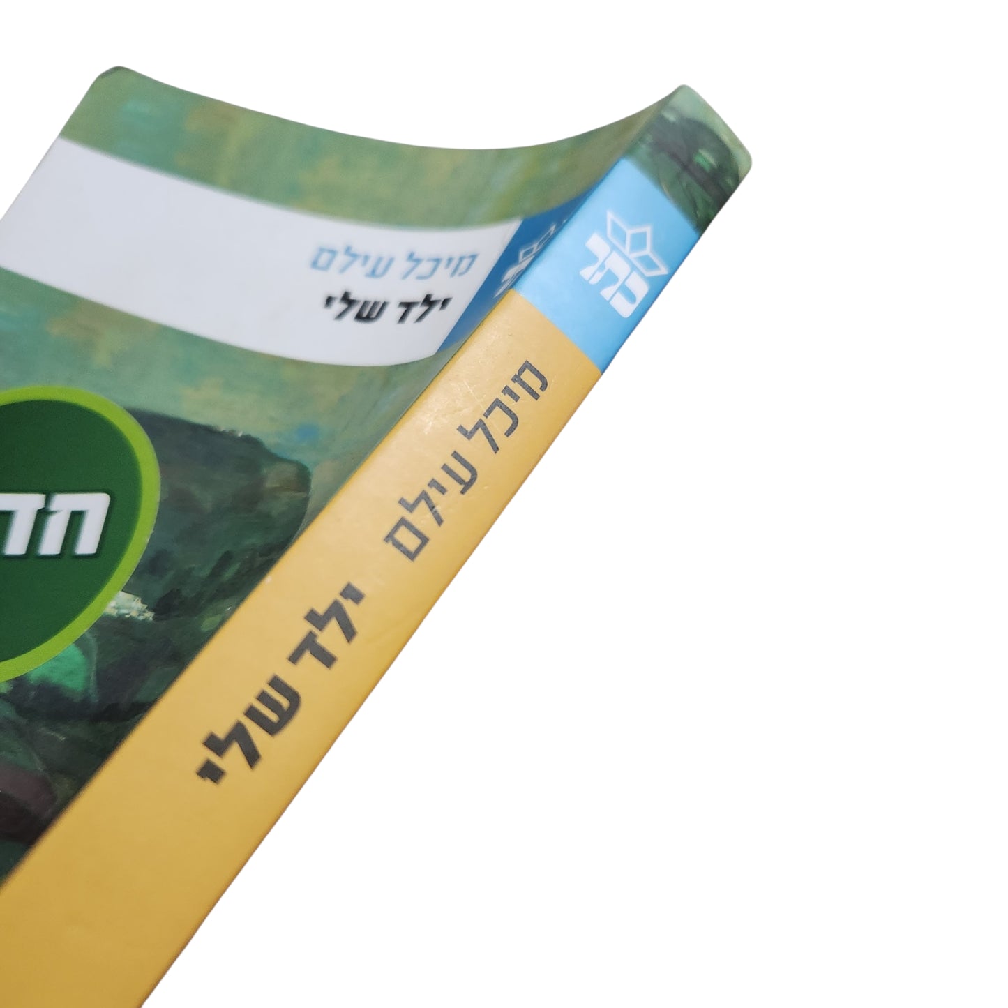 מיכל עילם – ילד שלי (2015) | רומן ישראלי | הוצאת כתר
