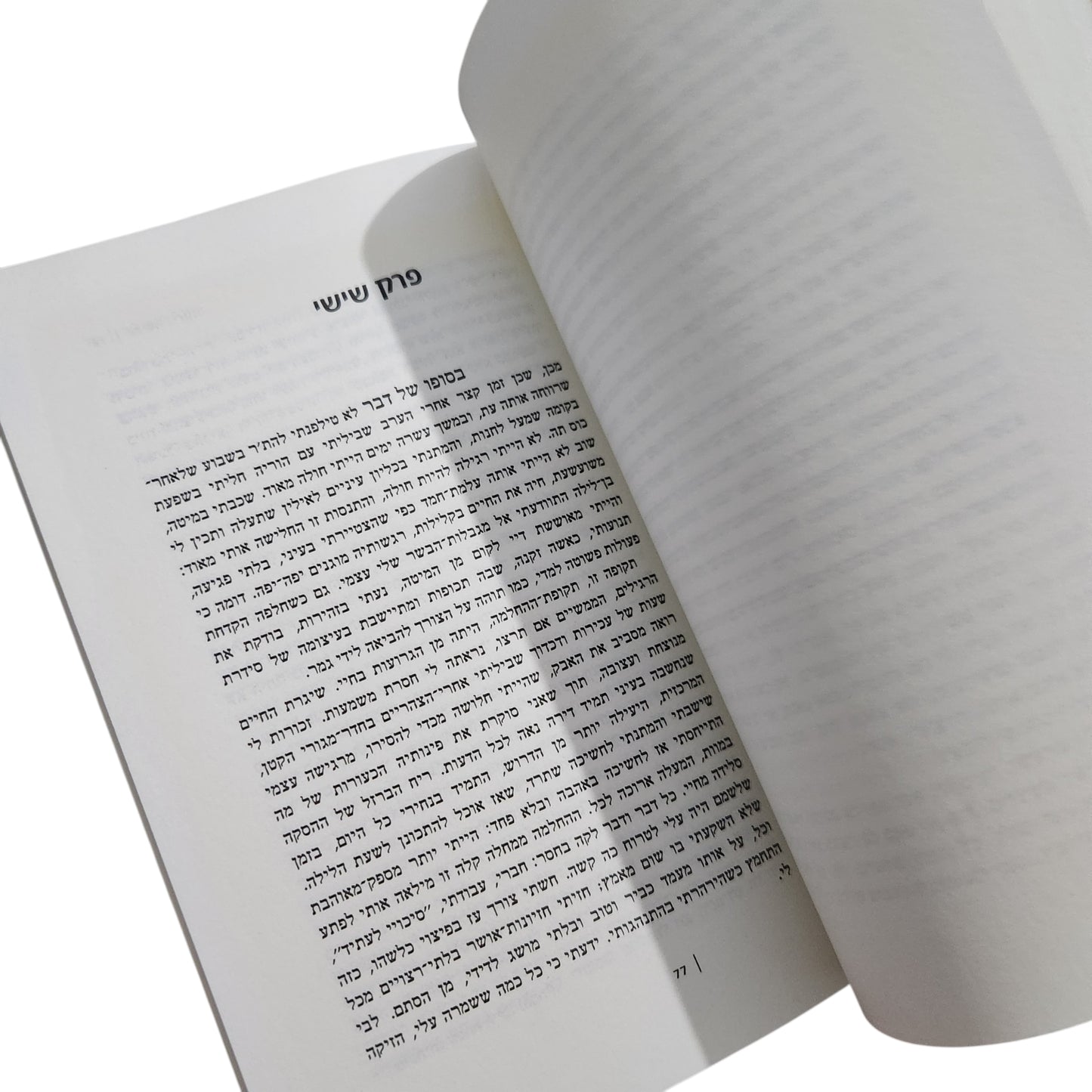 אניטה ברוקנר – ידידה מאנגליה