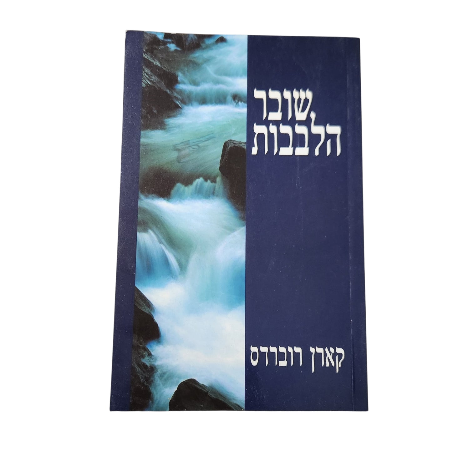שבר הלבבות (2001) - קארן רוברדס | ספר
