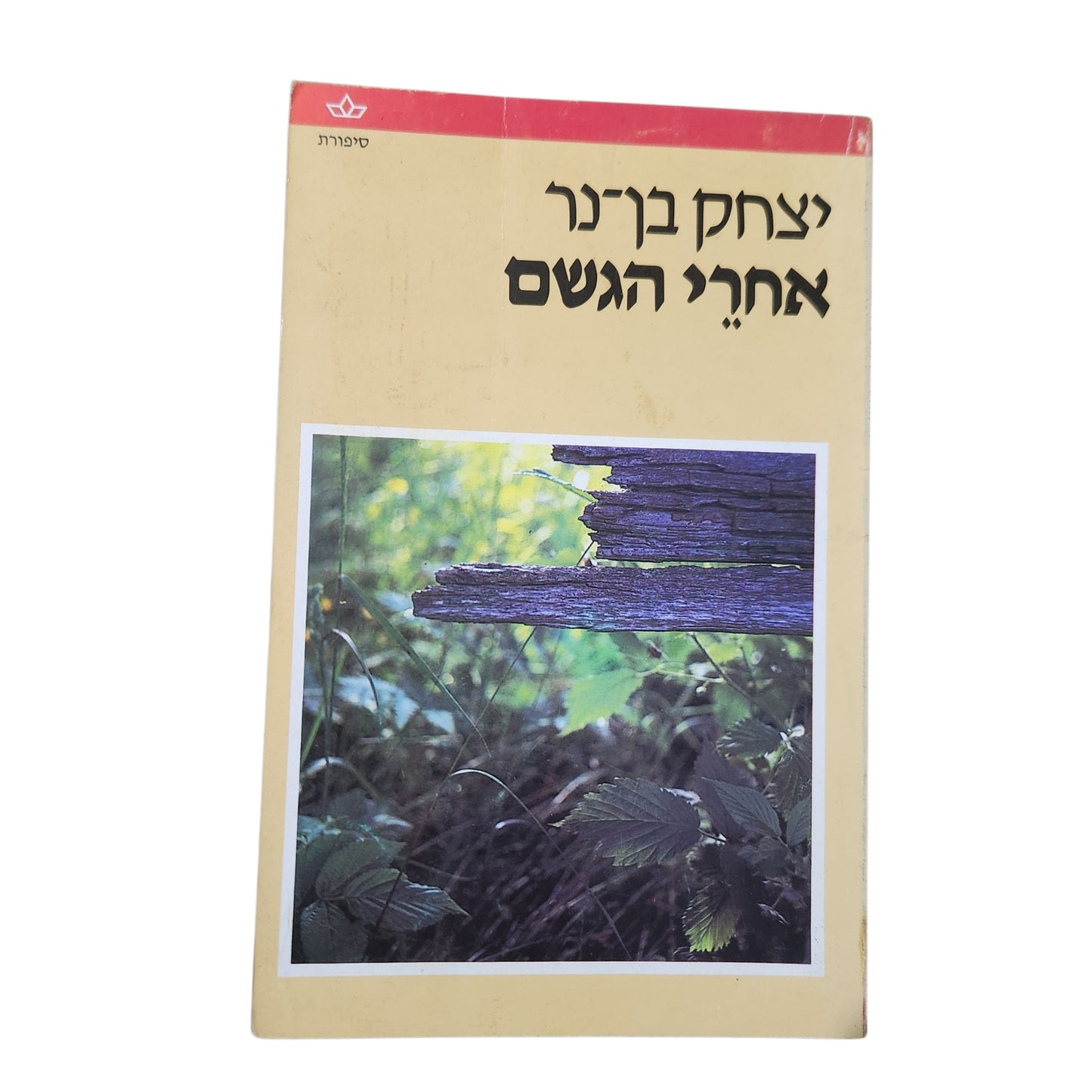 אחרי הגשם (1979) - יצחק בן־נר | ספר