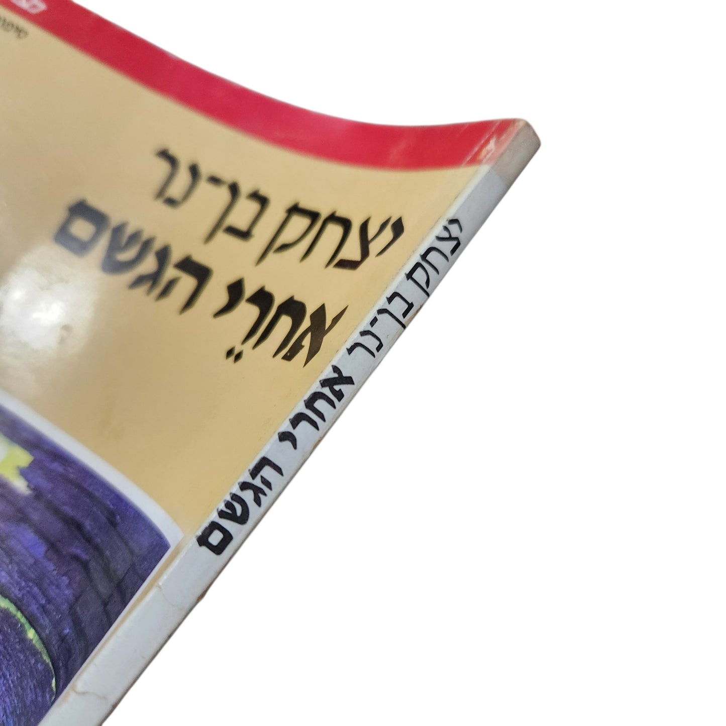 אחרי הגשם (1979) - יצחק בן־נר | ספר