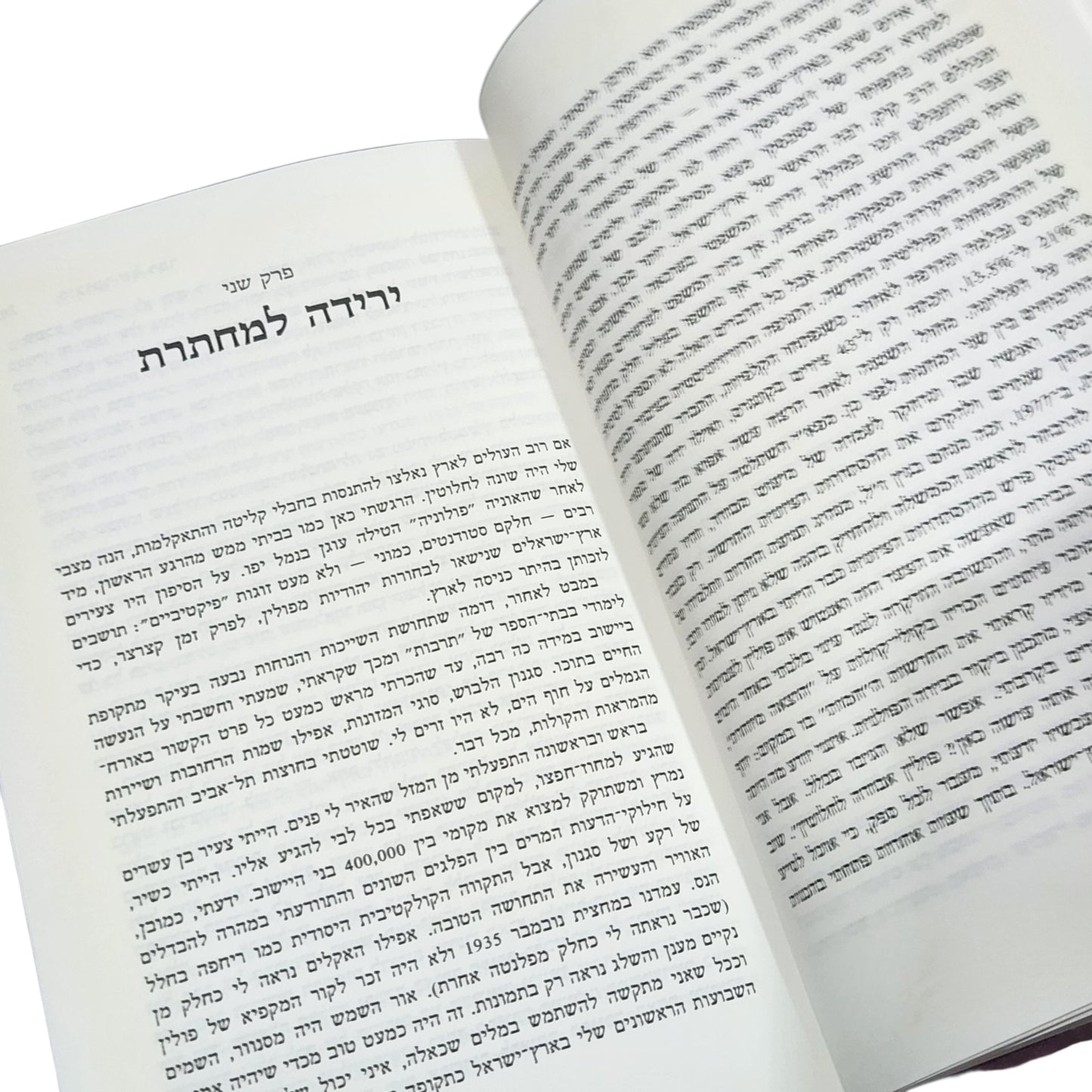 סיכומו של דבר | יצחק שמיר