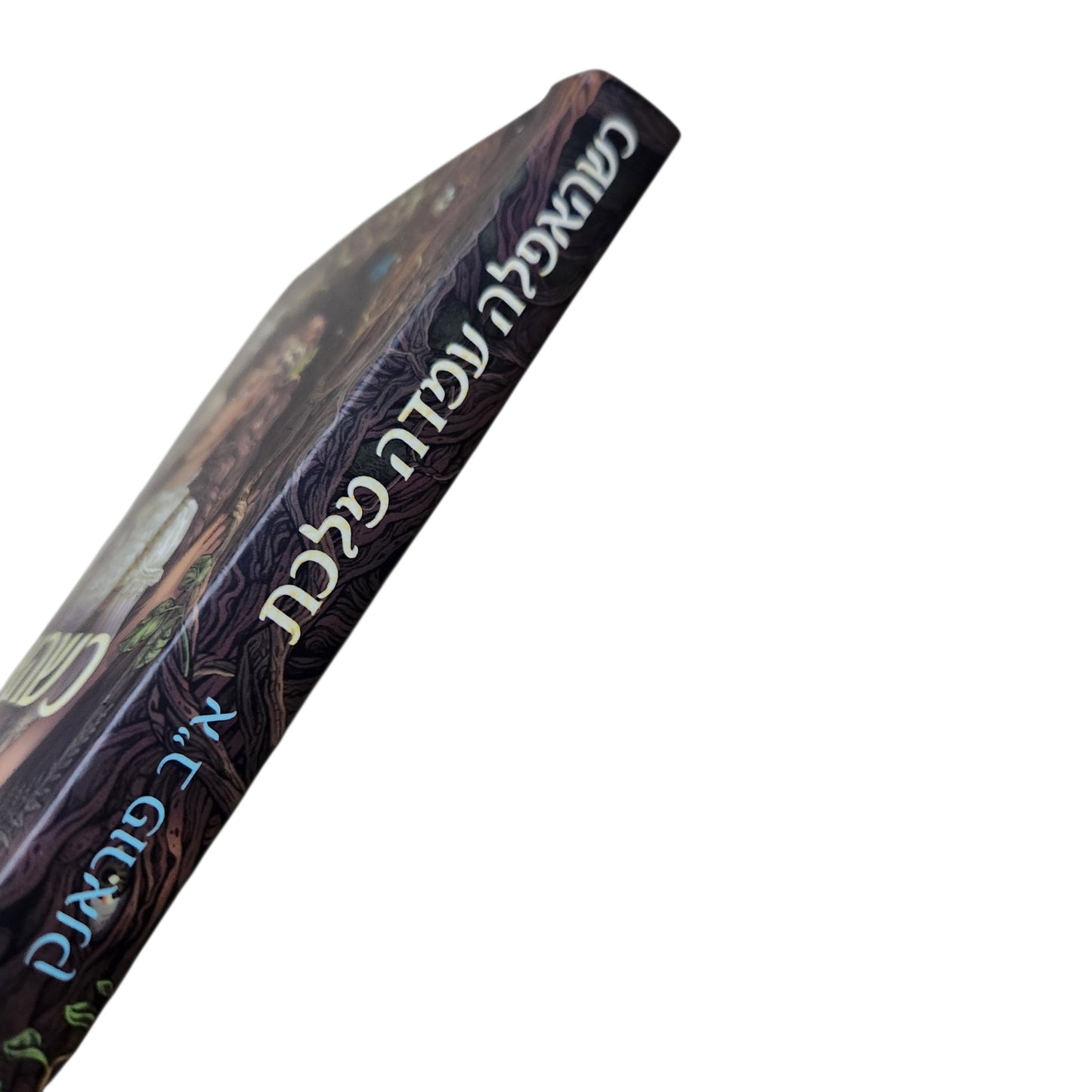 כשהאפלה עומדת מלכת | א"ב פוראנק | 2026