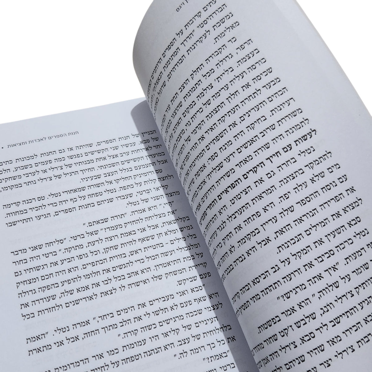 חנות הספרים לאבדות ומציאות | סוזן ויגס | 2026