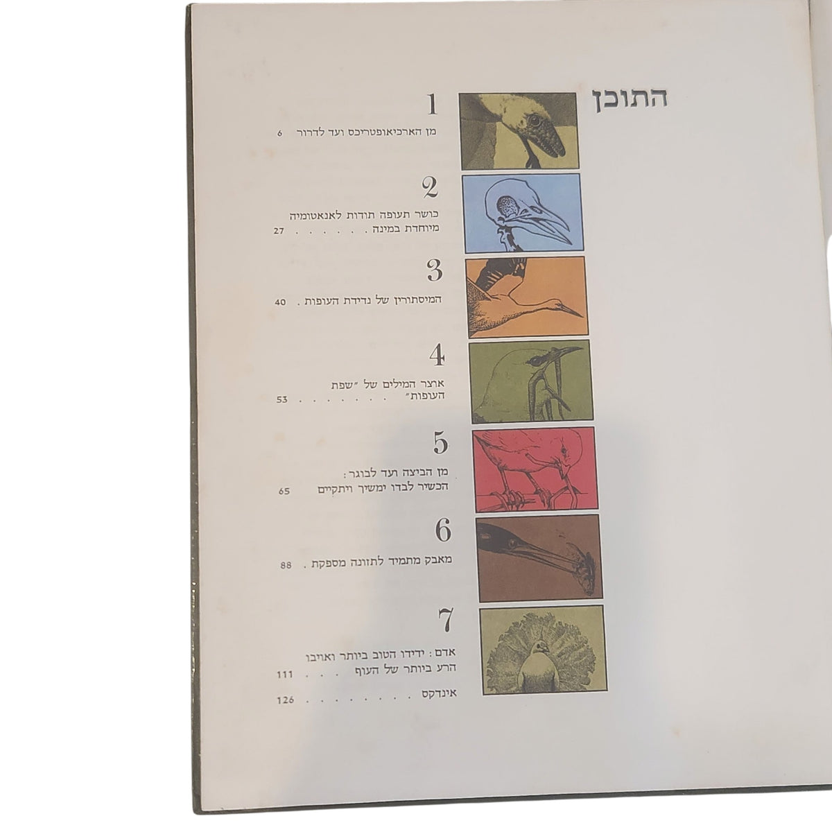 הציפורים | ספרי LIFE לנוער | ספריית מעריב | 1974