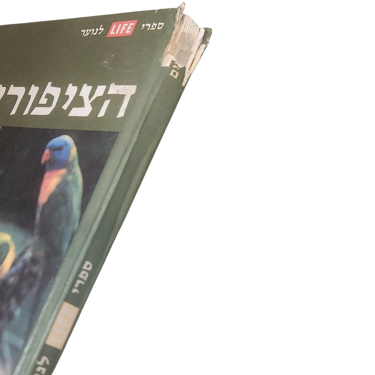 הציפורים | ספרי LIFE לנוער | ספריית מעריב | 1974