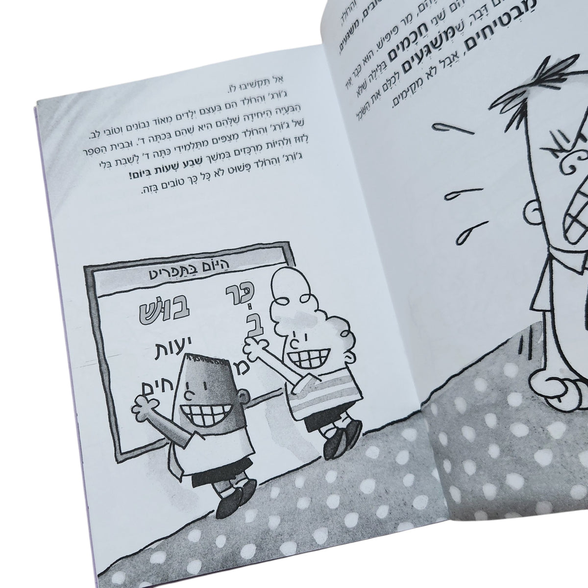 קפטן תחתונים 3: והפלישה מהחלל של מנהלות המטבח המרשעות ממש | דאב פילקי | 2010