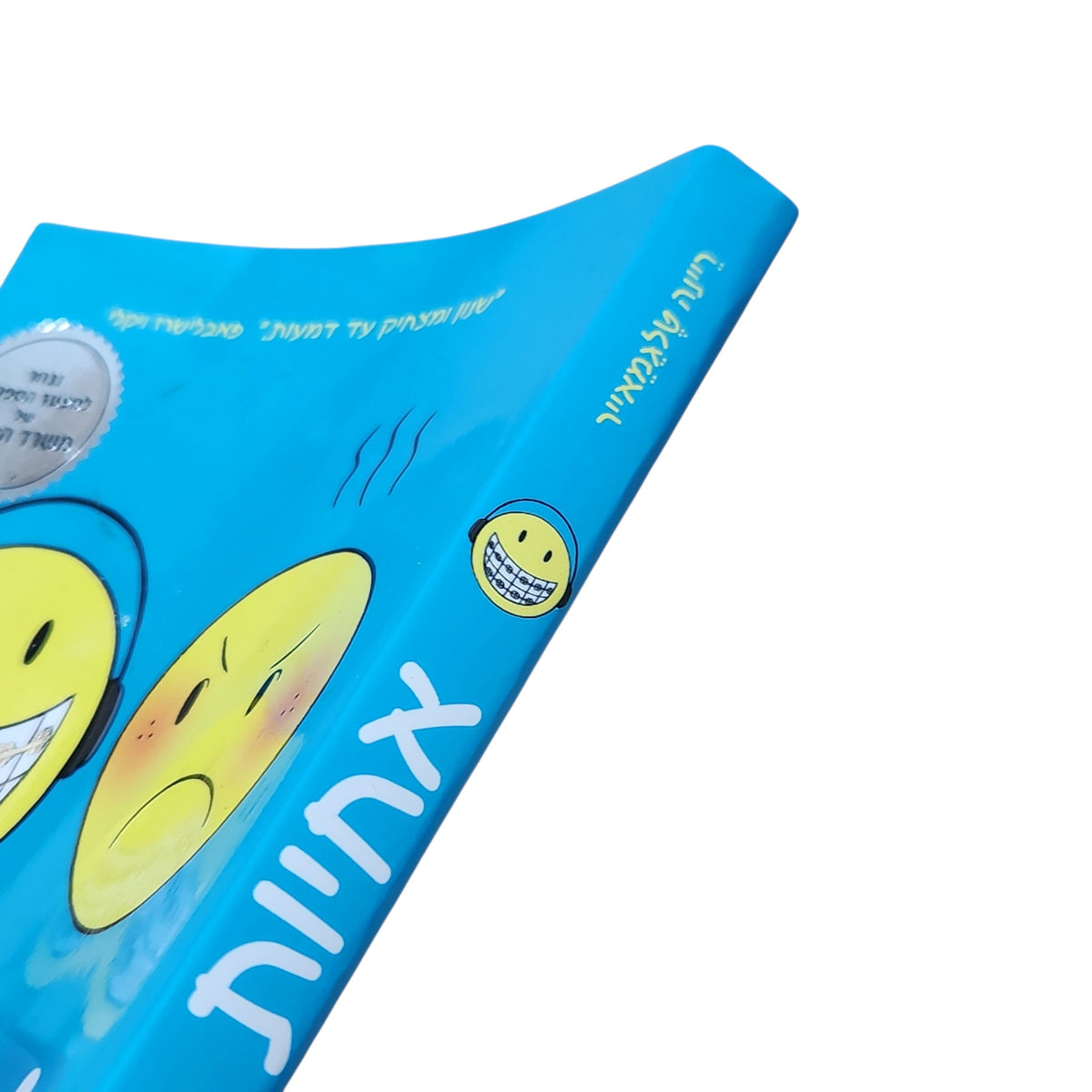 אחיות | ריינה טלגמאייר