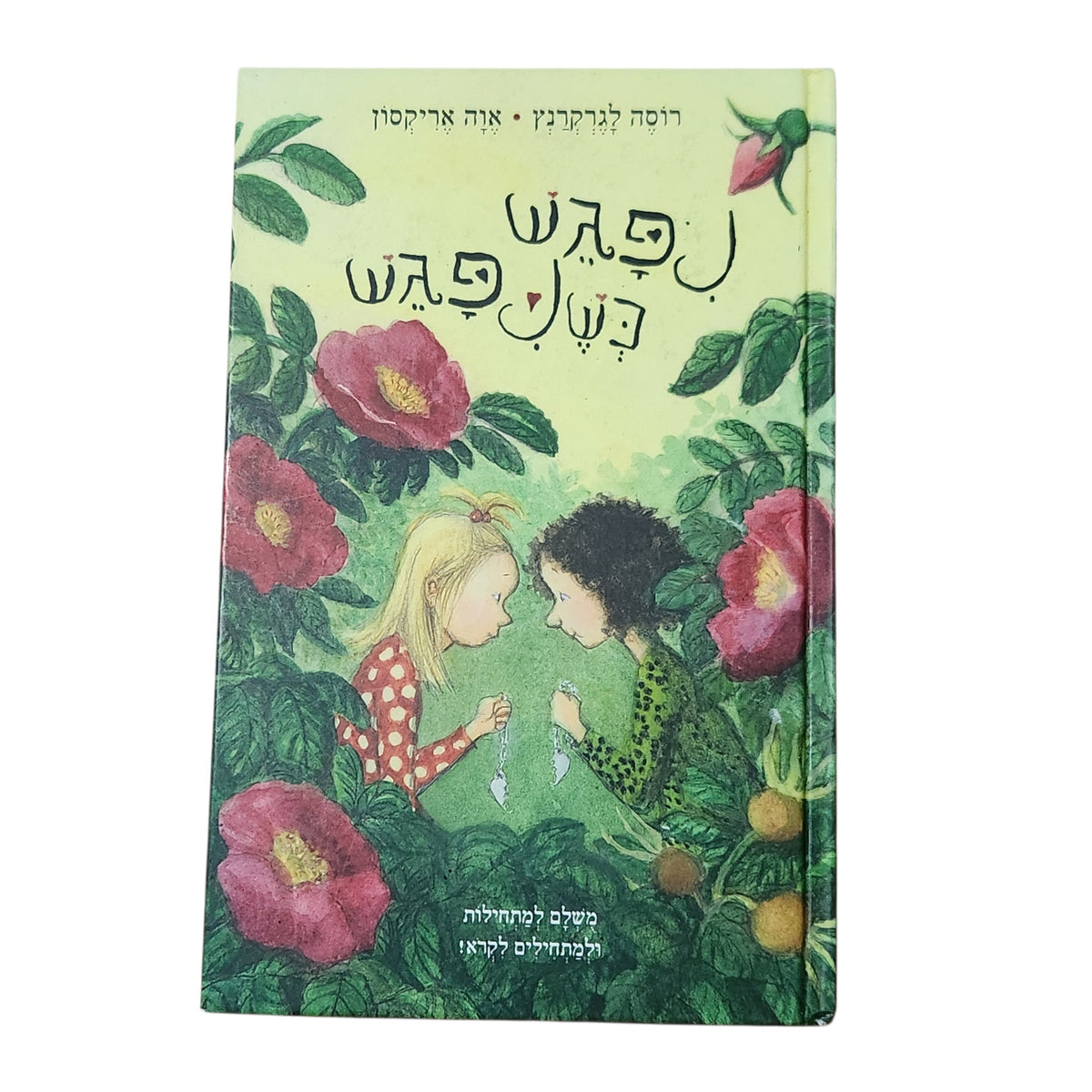 נפגש כשנפגש | רוזה לגרקרנץ | אווה אריקסון