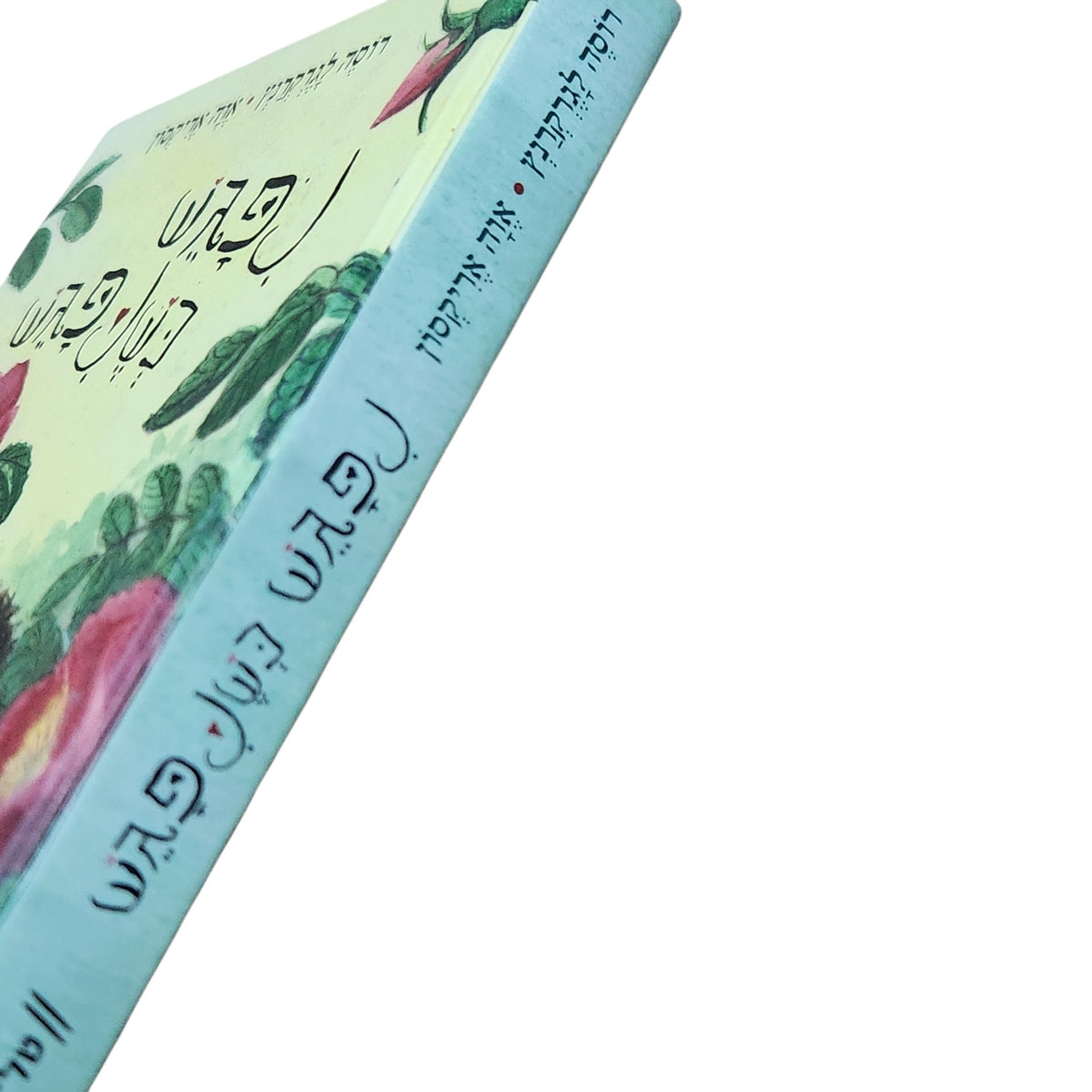 נפגש כשנפגש | רוזה לגרקרנץ | אווה אריקסון