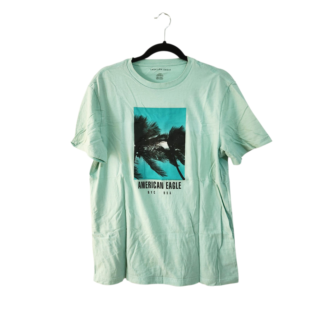 AMERICAN EAGLE | טי שירט לגברים | L | ירוק מנטה
