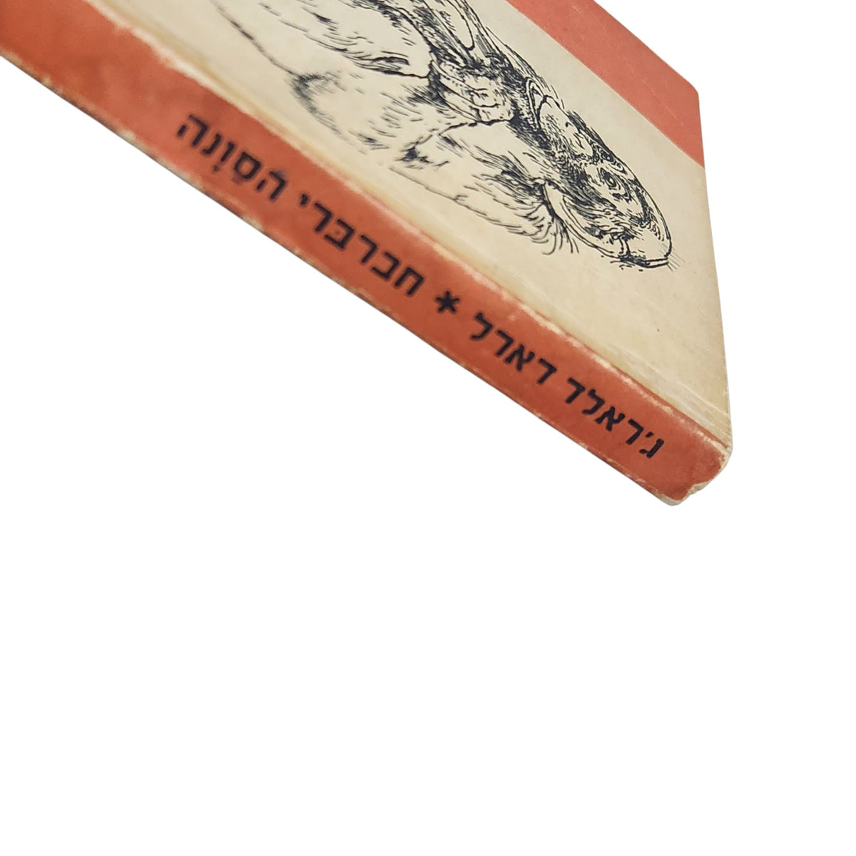 חברברי הסונה | ג'ראלד דארל | ספר טבע והרפתקאות וינטג'