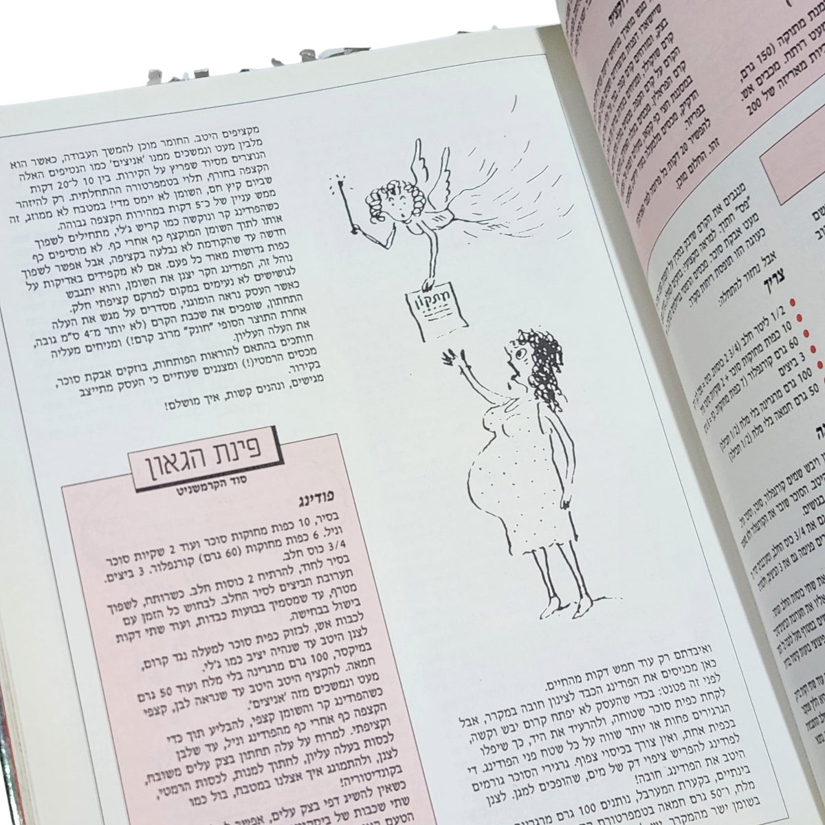 ספר הבישולים של אודטה | אודטה שוורץ | ספר בישול וינטג'