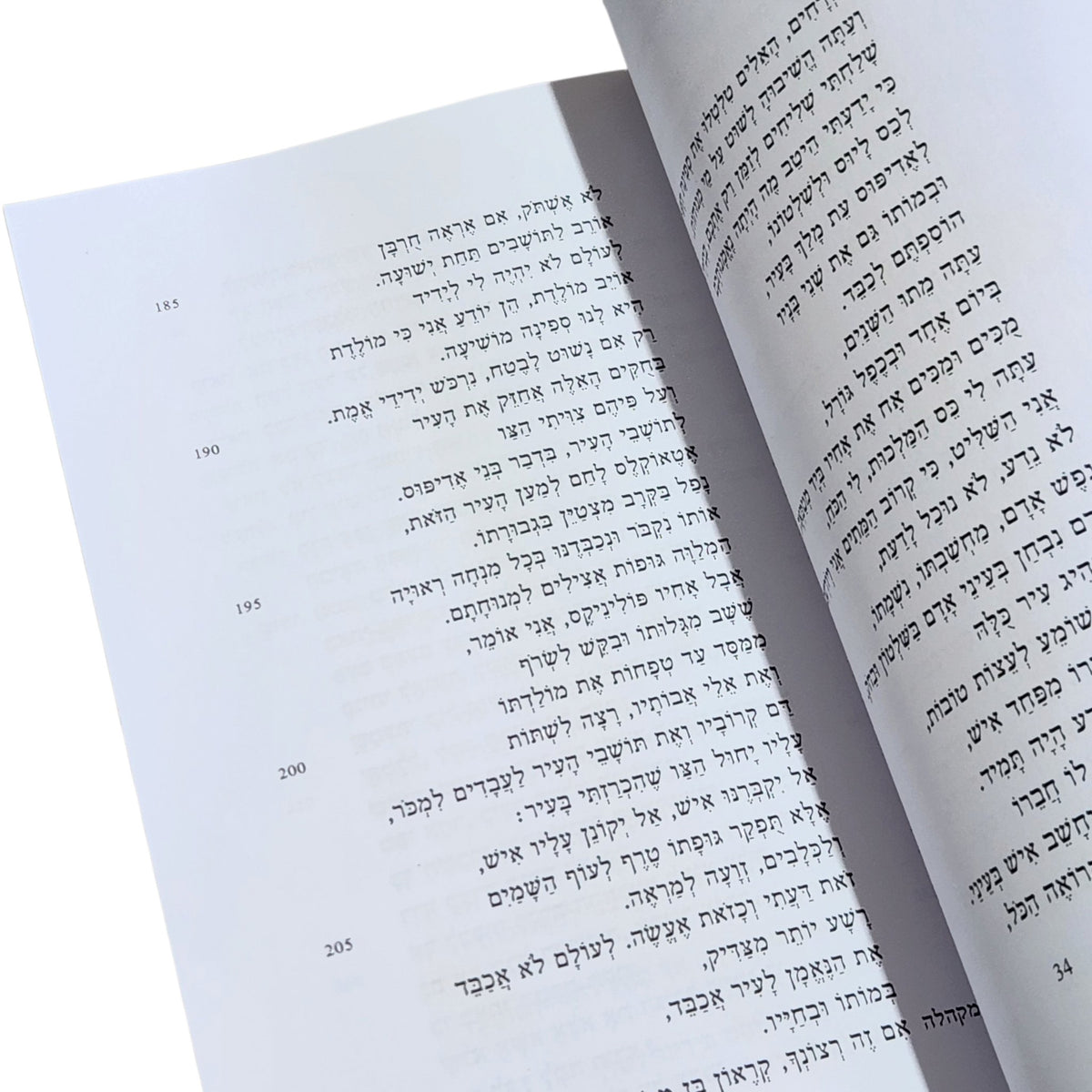 אנטיגונה | סופוקלס | 2014 | טרגדיה יוונית קלאסית | הוצאת ליון בוקס