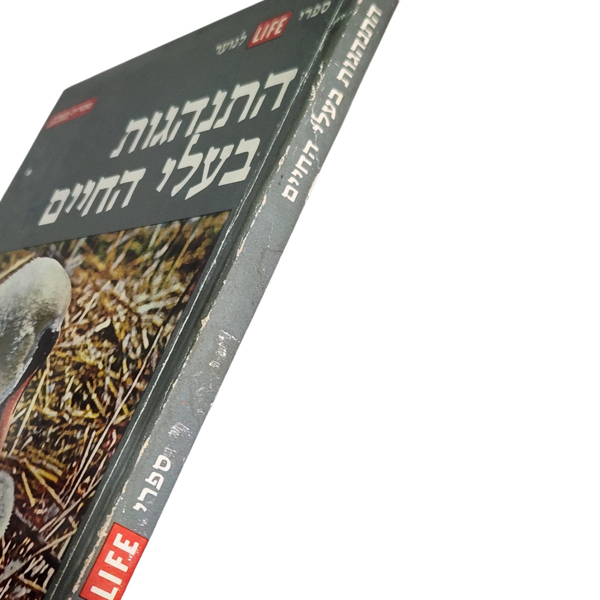 התנהגות בעלי החיים | ספרי LIFE לנוער | ספר וינטג׳ | ספרית מעריב | 1973