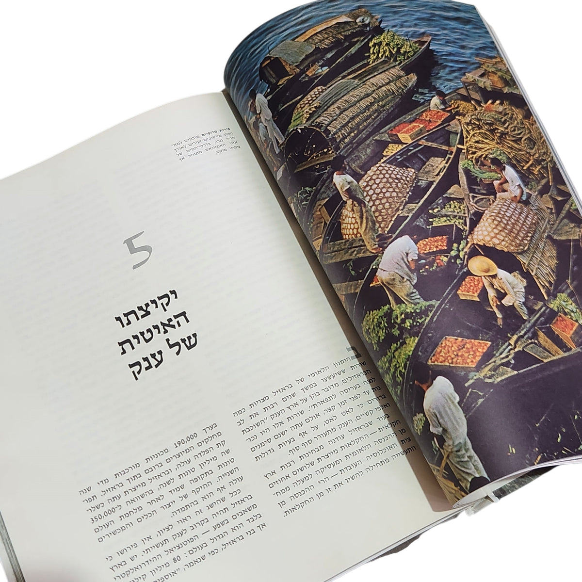 ברזיל | ספריית העולם של LIFE | מהדורה עברית 1970 | ספר וינטג׳