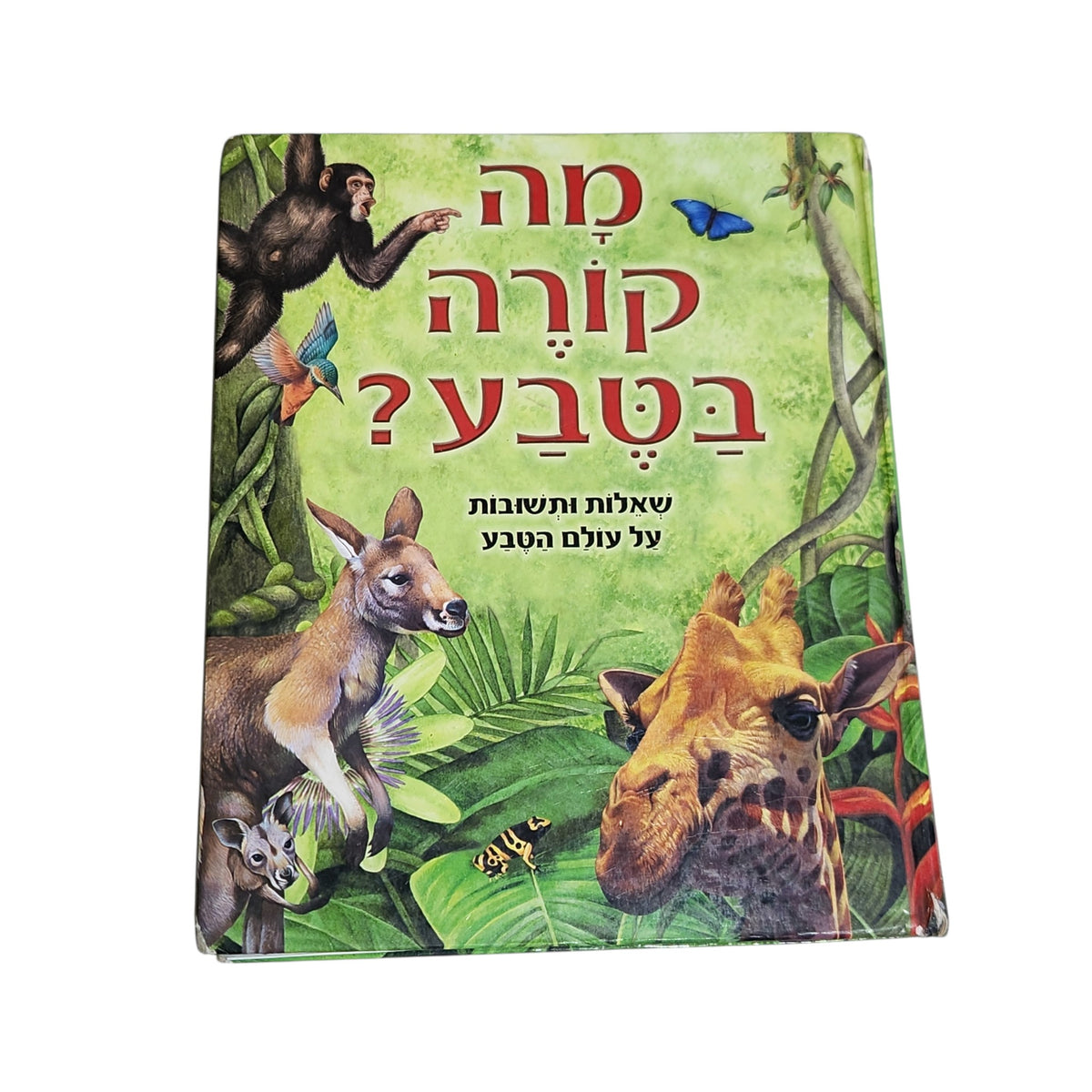 מה קורה בטבע? | שאלות ותשובות על עולם הטבע | 2006