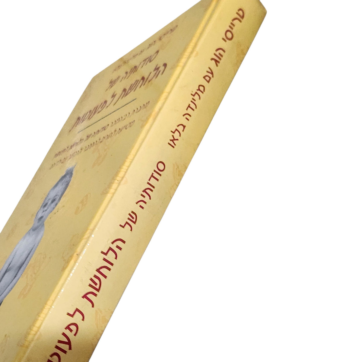 סודותיה של הלוחשת לפעוטות | טרייסי הוג ומלינדה בלאו | הוצאת מטר