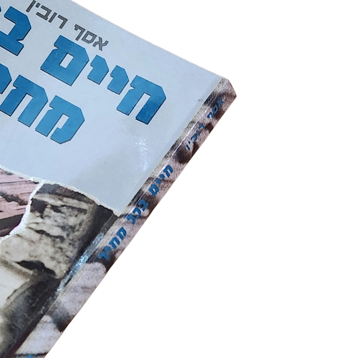 חיים בכל מחיר | אסף רובין | 1994 | ספר עיון ישראלי וינטג׳