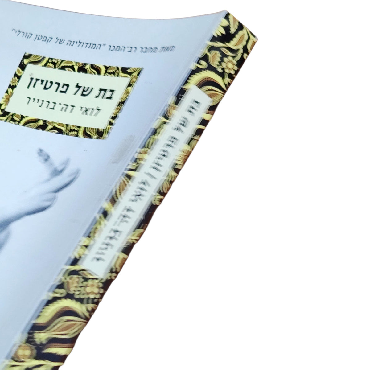 בת של פרטיזן – לואי דה־ברנייר | 2010 | רומן מתורגם