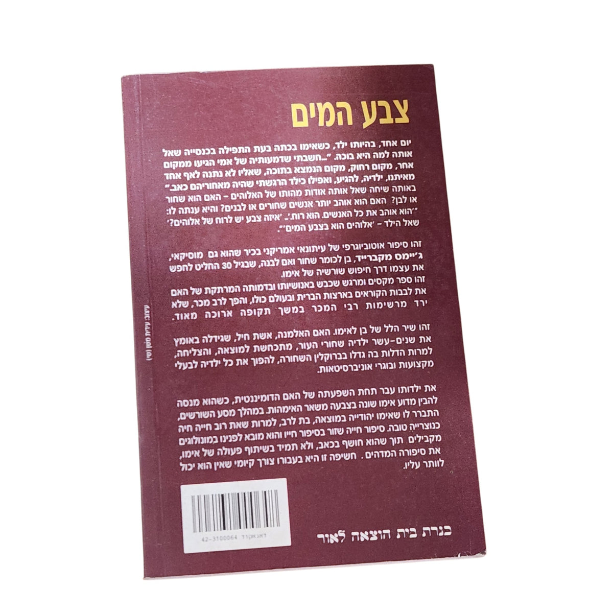 צבע המים – ג'יימס מקברייד | 1999 | ספרות מתורגמת