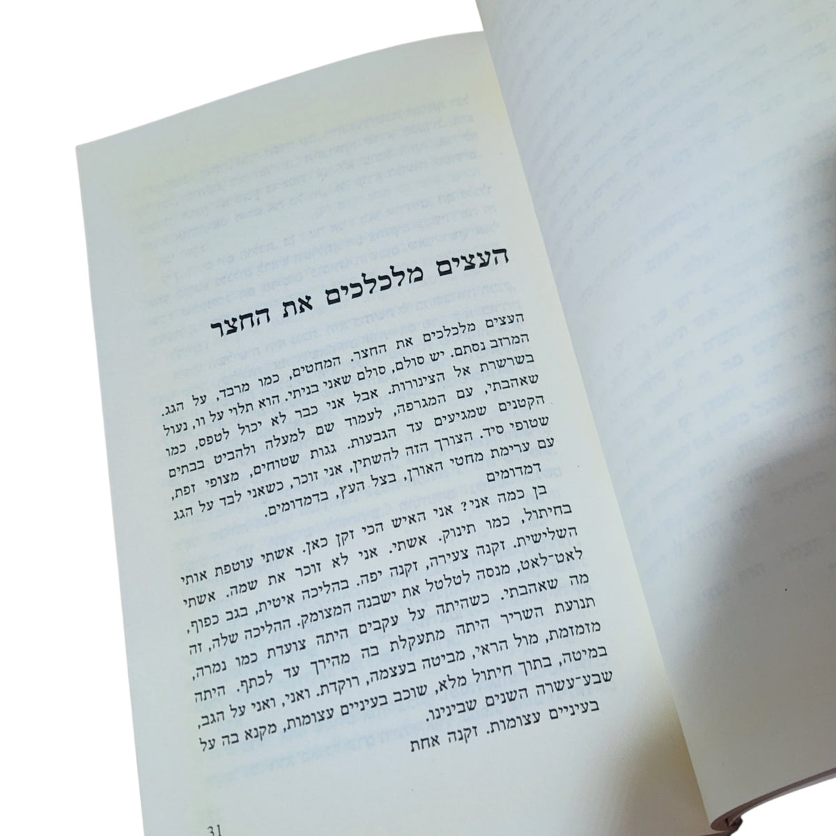חיות מתות ומזג אוויר | אגור שיף | 1995 | ספרות ישראלית | וינטג׳