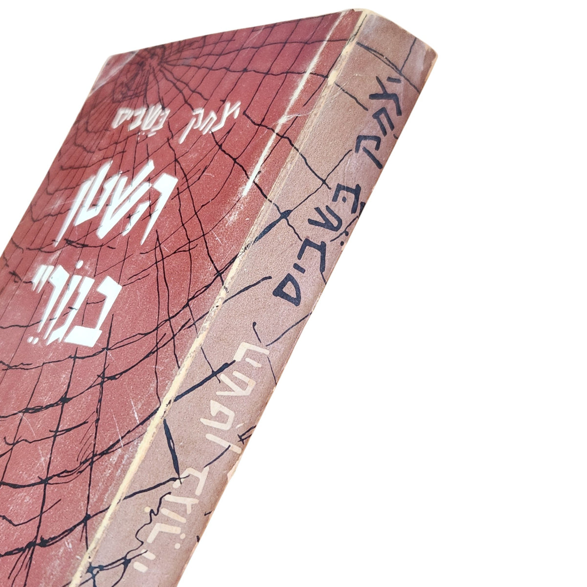 השטן בגוריי | יצחק בשביס־זינגר | 1963 | ספר וינטג׳