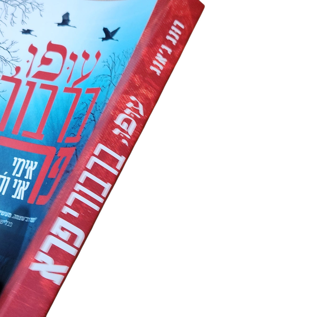 עופו, ברבורי פרא | ג'אנג ג'אנג | 2026 | רומן היסטורי וביוגרפי