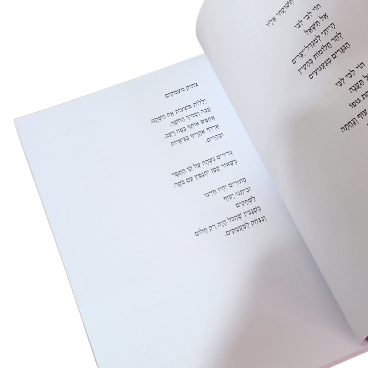 אסור לכתוב על אושר – זמירה פורן ציון | 2024 | ספר שירה