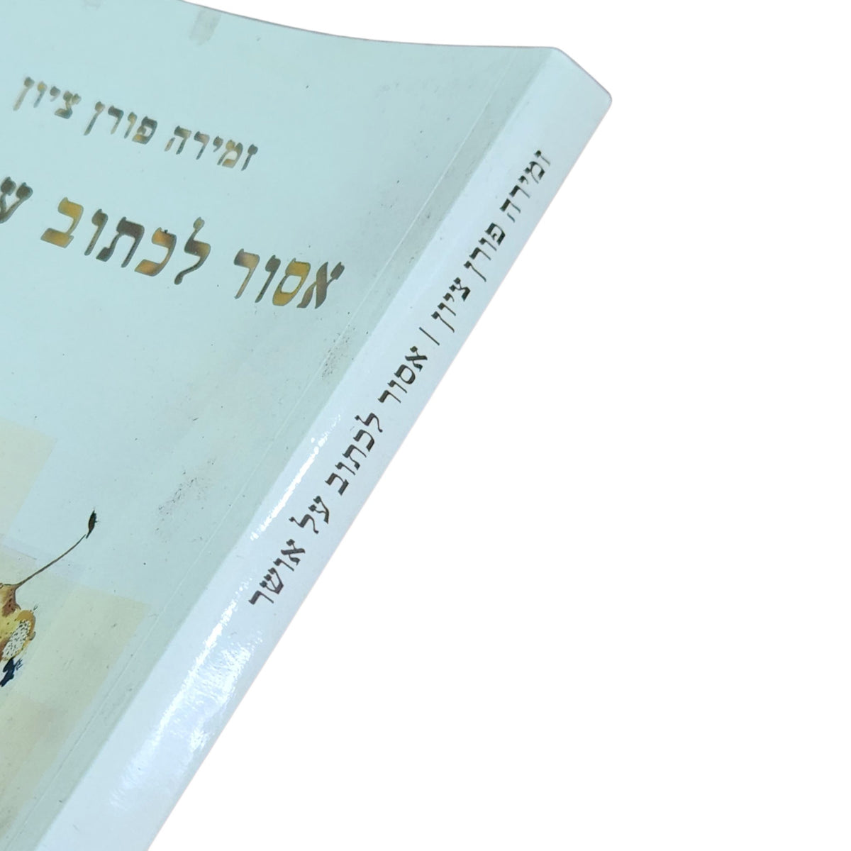 אסור לכתוב על אושר – זמירה פורן ציון | 2024 | ספר שירה