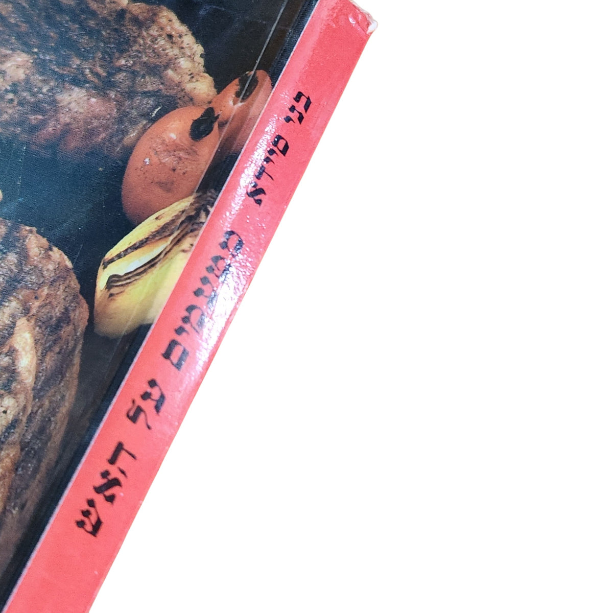מטעמים על האש – בני סיידא | 1996 | ספר בישול וינטג׳