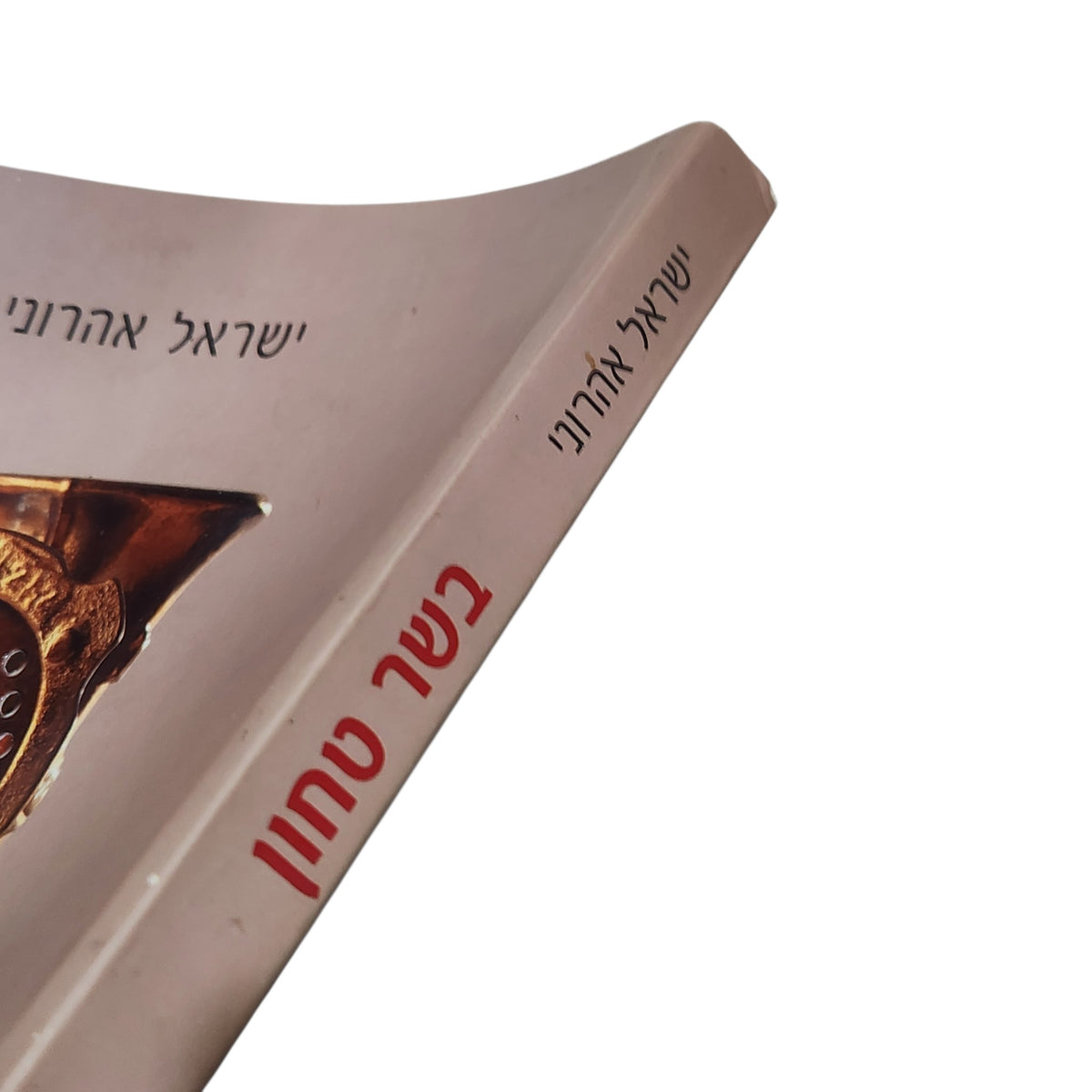 בשר טחון | ישראל אהרוני | ספר בישול ומתכונים | 2006