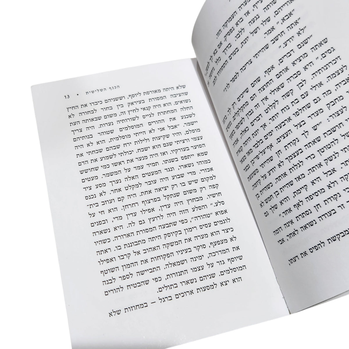 הכנף השלישית | סמי מיכאל | הוצאת כתר | ספרות ישראלית