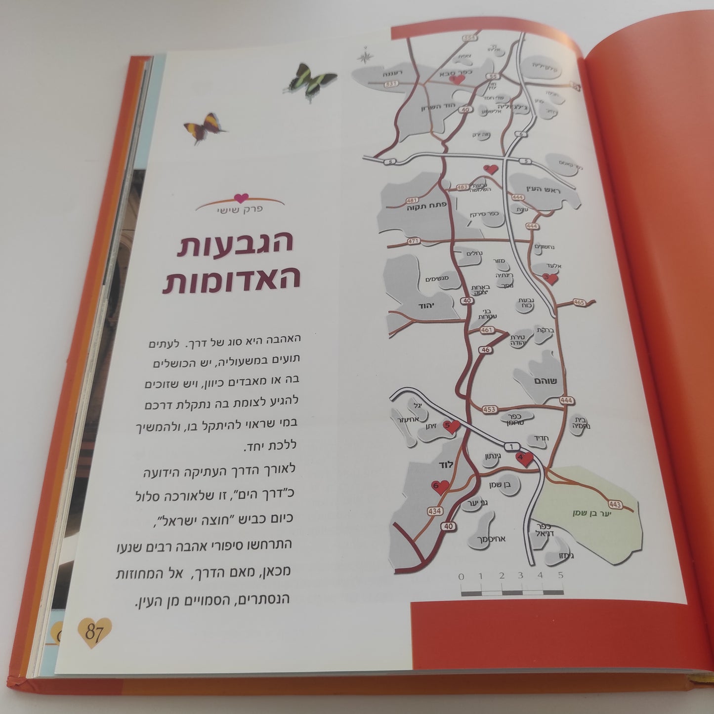 להתאהב בארץ ישראל מאת עופר רגב