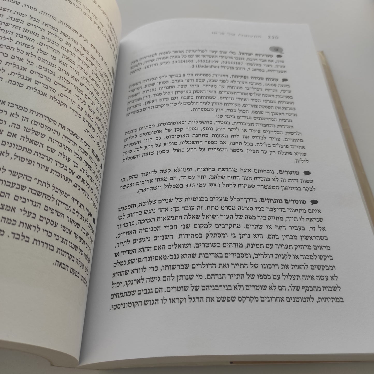 התענוגות של פראג מאת אביבה לורי