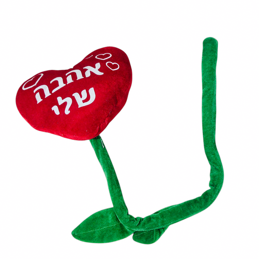 לב גדול