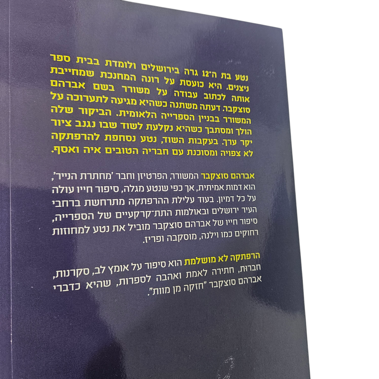 הרפתקאה לא מושלמת - גתית פז 2024