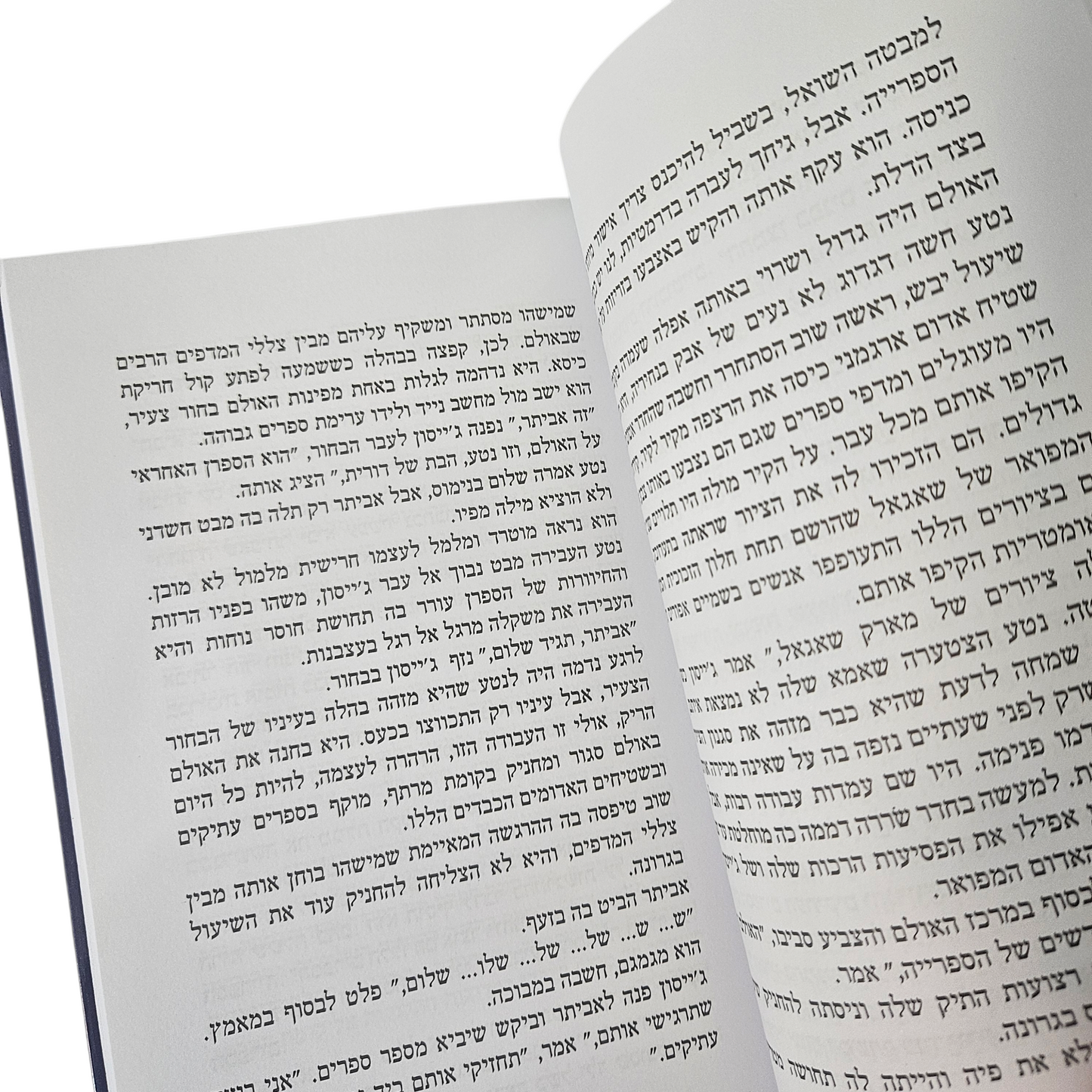 הרפתקאה לא מושלמת - גתית פז 2024