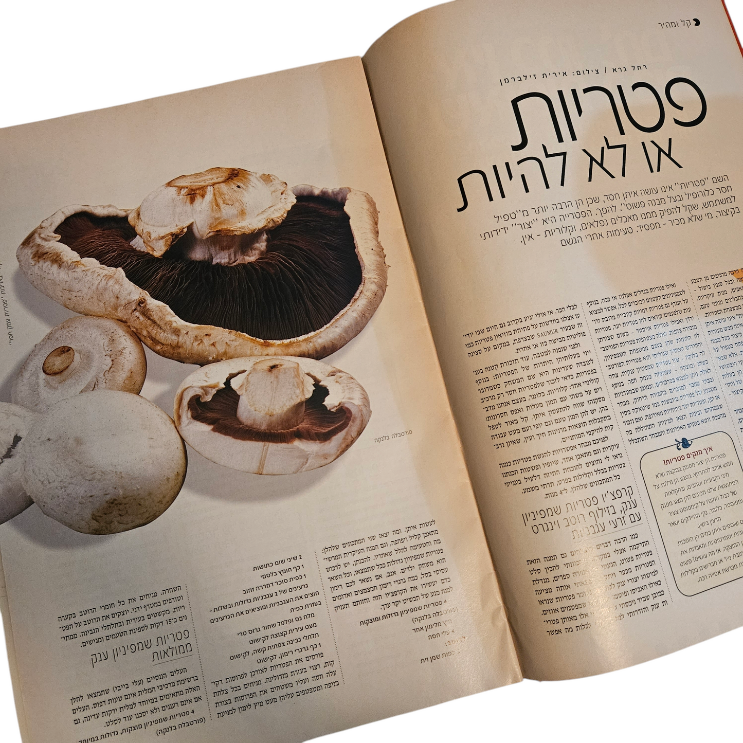 את - גורמה - גיליון 174 נובמבר 2003