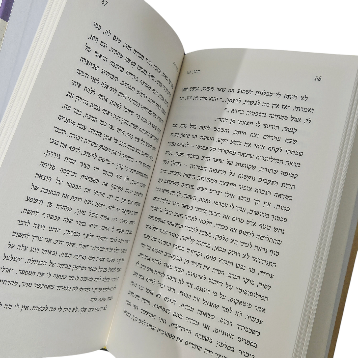 נקמת יותם - אהרון מגד