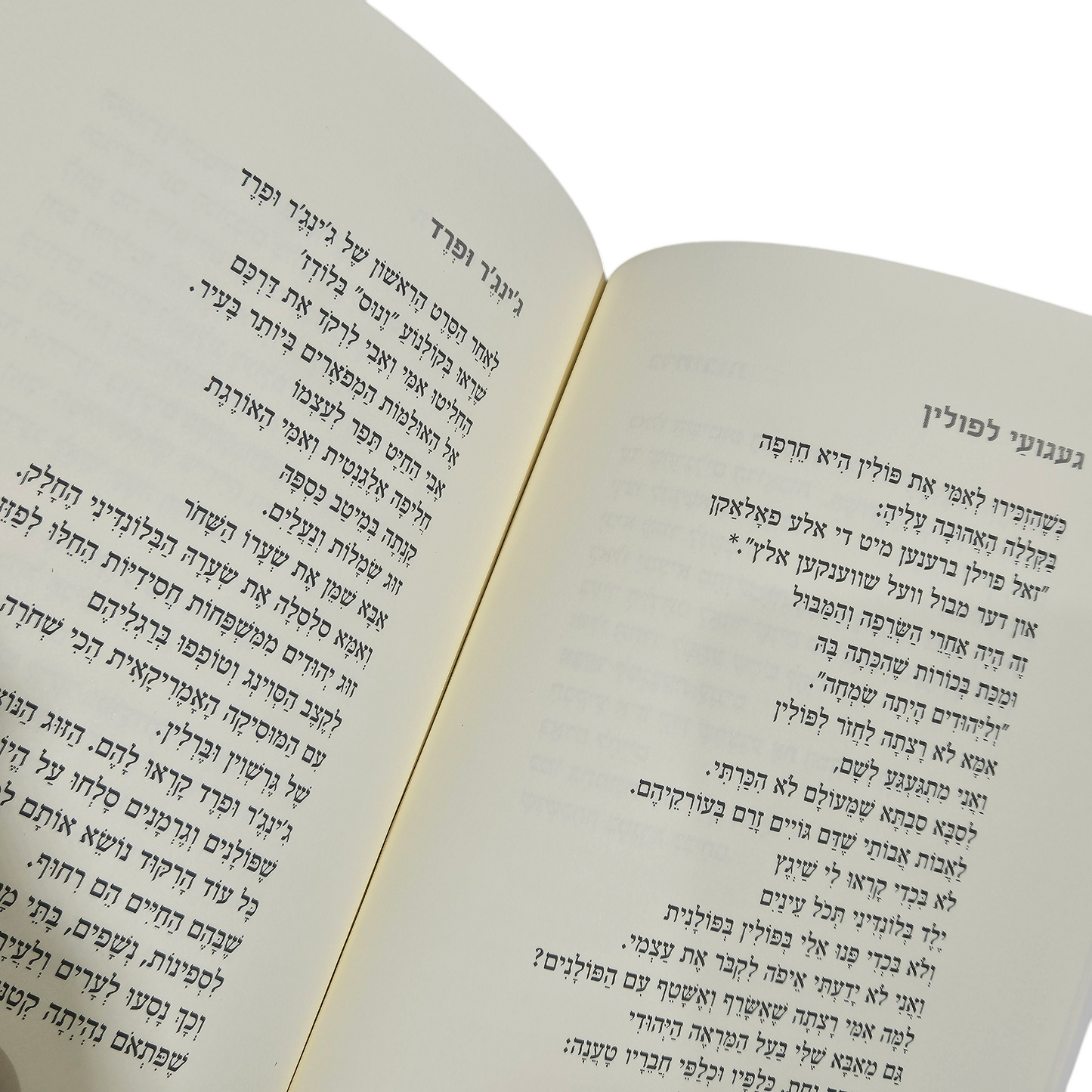 אושר גל - השתקפות