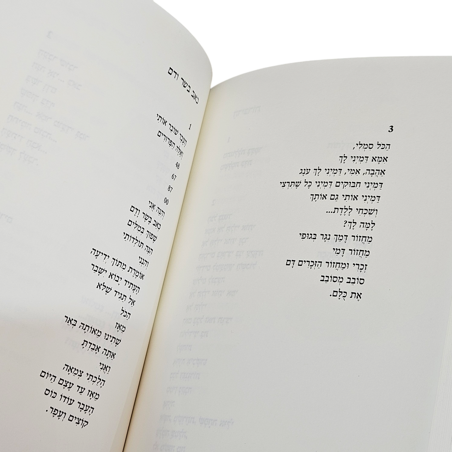 בגוף אחר - מבחר שירים 1987-2010