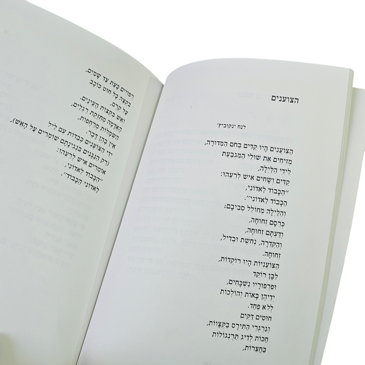 המרקיזה מגובארי - שירים - צביקה שטרנפלד