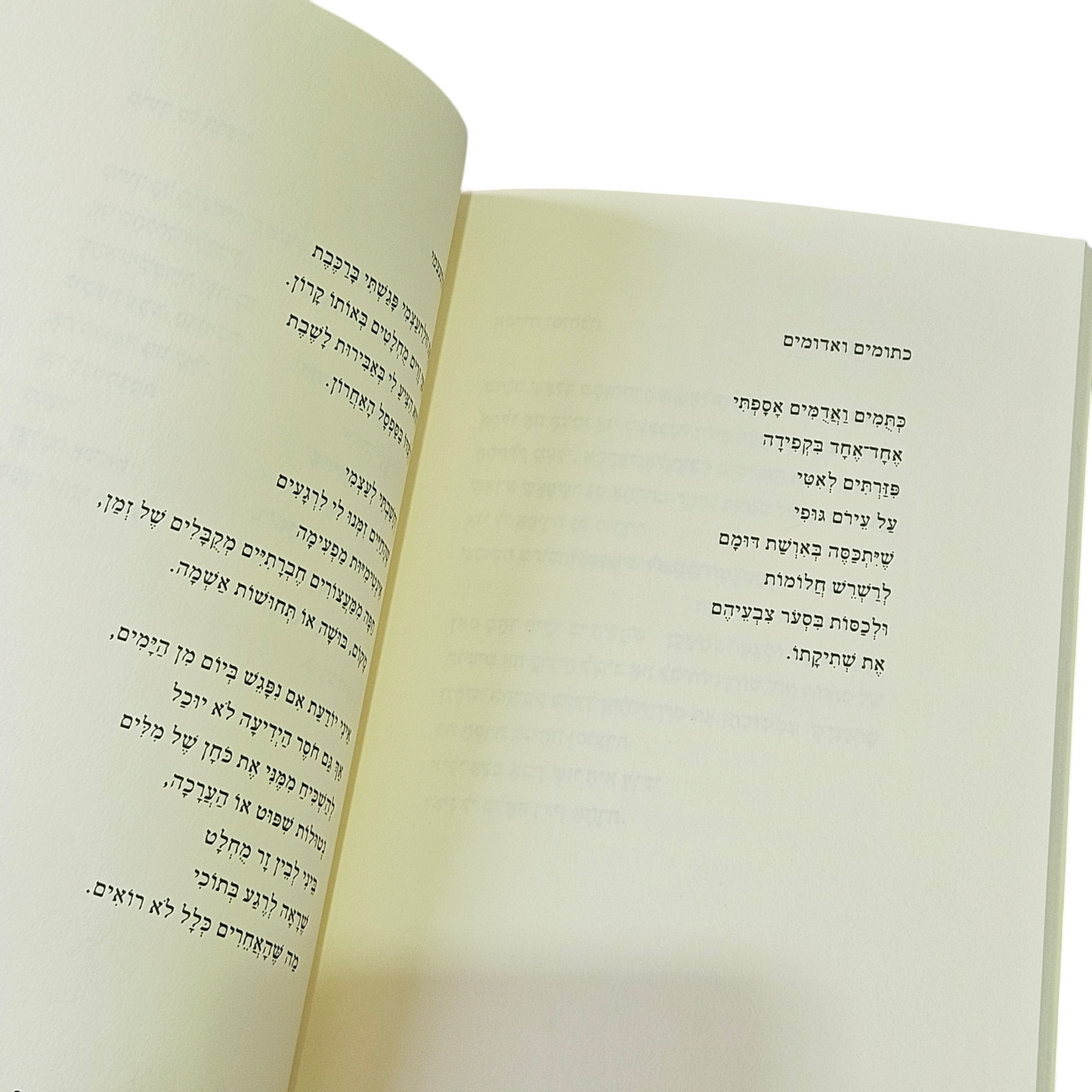 פנים רבות לה - פזית אלעזר