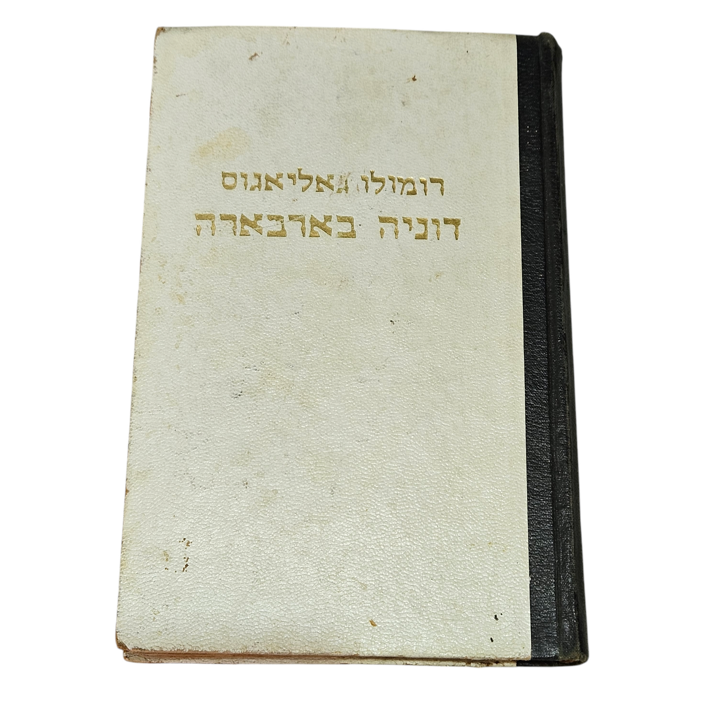 רומולו גאליאגוס - דוניה בארבארה