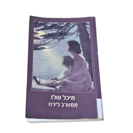 מיכל שלו - ממערב לירח