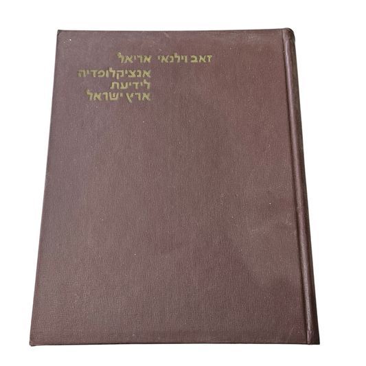 אנציקלופדיה לידיעת ארץ ישראל - זאב וילנאי אריאל. י-ל